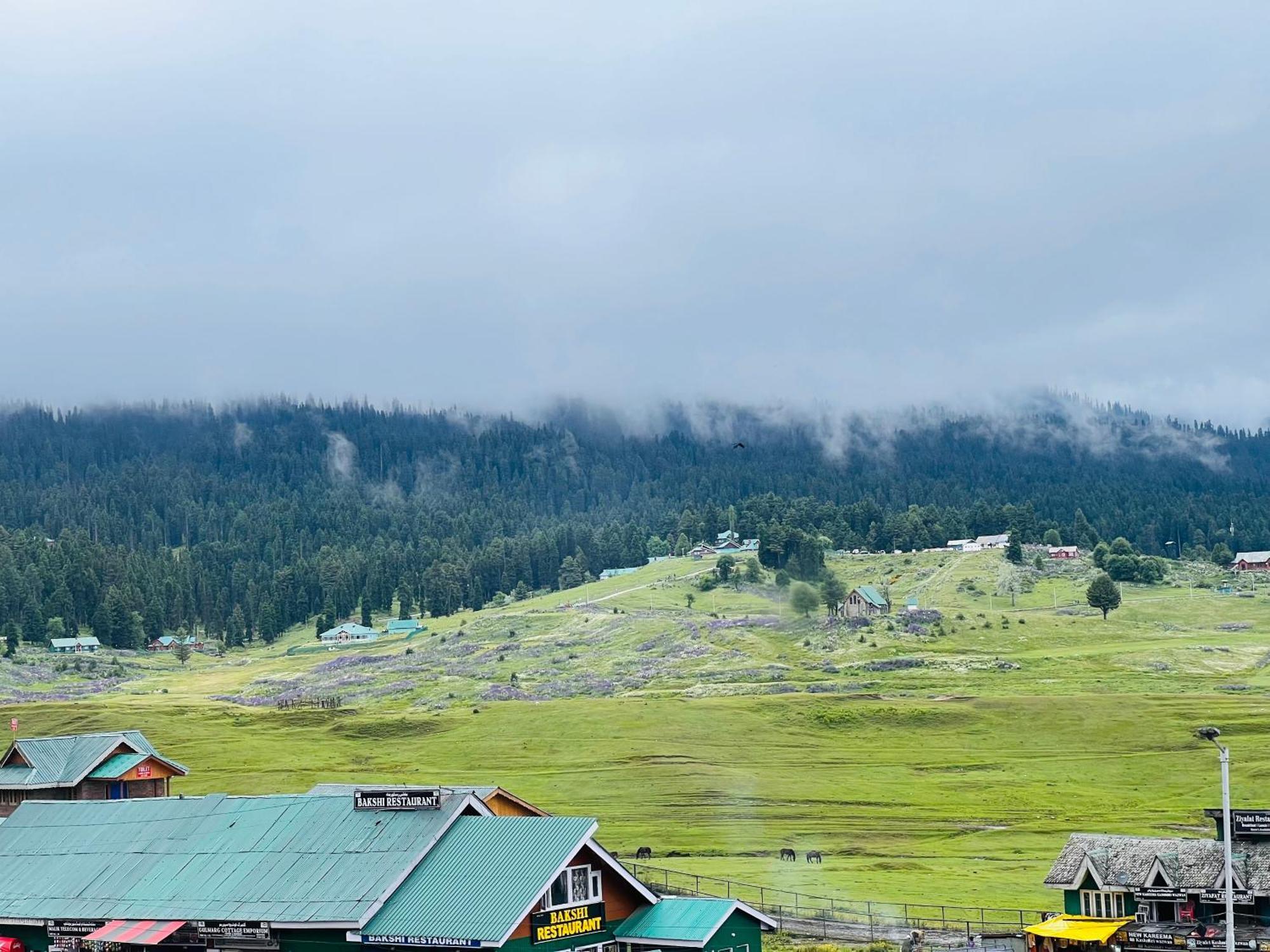 Pine View Resort Гульмарг Екстер'єр фото